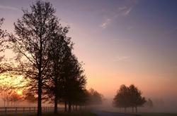 开云体育-逆转与巅峰，当法国战车翻盘印度巨象，与戴资颖的羽球传奇交相辉映