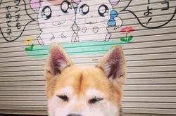 开云体育app-勒克莱尔关键制胜，威廉姆斯力克索伯车队，一场战术的胜利