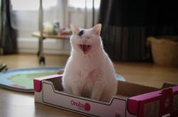 开云sport-范弗利特单核托起撕裂之城！魔术血拼开拓者，他写就孤胆英雄传说