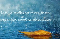 开云体育中国-当紫金军团碾压辽宁，范弗利特已在F1赛道上演终局接管—掌控力，是跨维度通用的终极语言