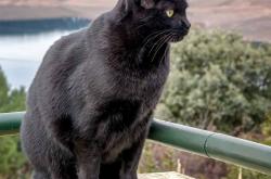 开云体育APP下载-火箭升空碾压国王，恩比德孤军突围成关键先生—一场比赛，两种胜利哲学