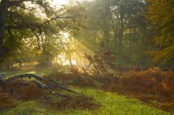 开云sport-亚洲之光撞碎北欧童话，绿衣军团奏响足球狂想