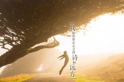 开云体育APP下载-被托尼操控的安菲尔德之夜，利物浦如何提前一小时终结悬念？