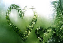 开云体育平台APP-篮网碾压国王，字母哥惊艳四座