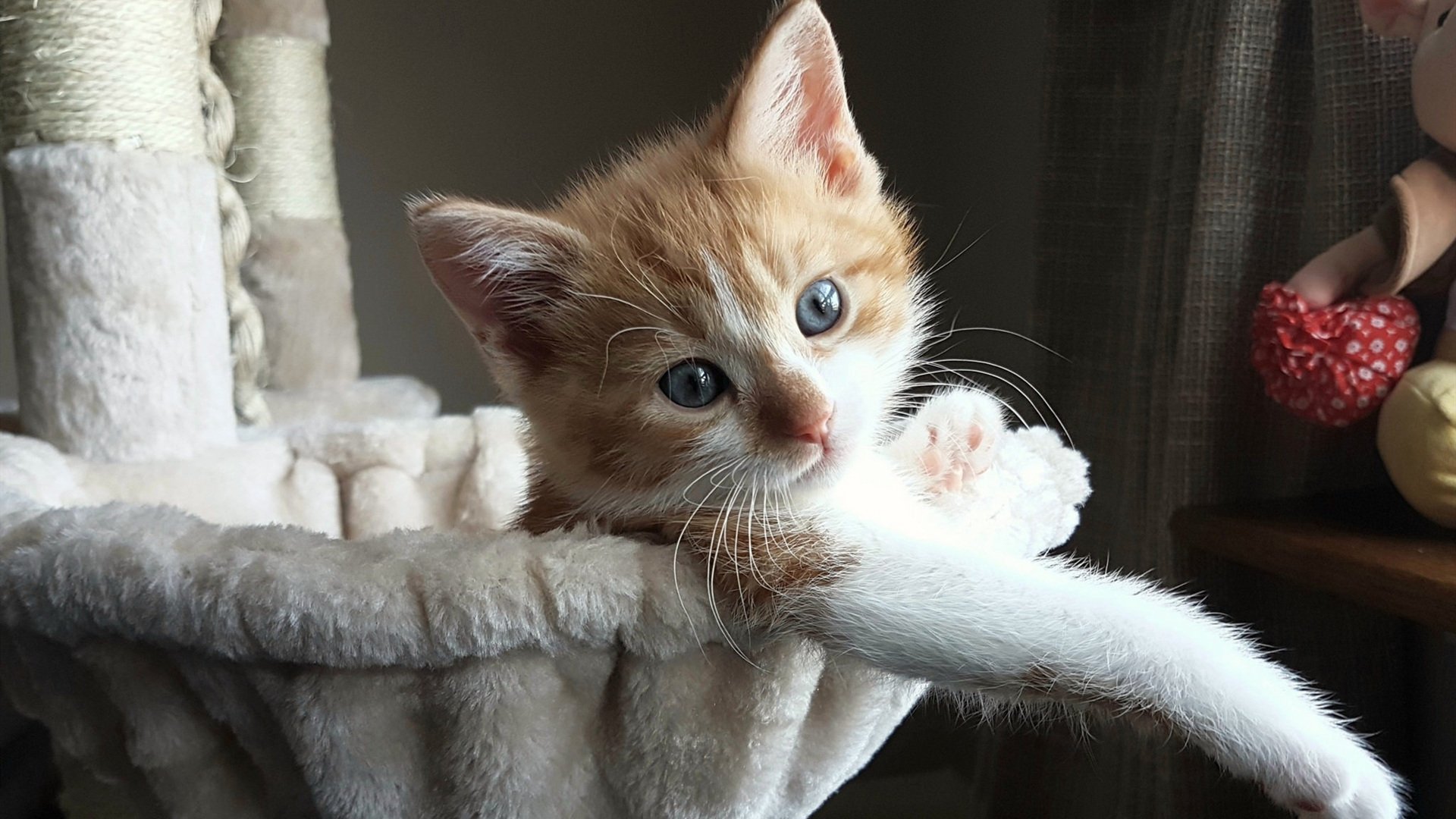 窒息时刻的团队奏鸣曲，武切维奇导演魔术绝杀步行者