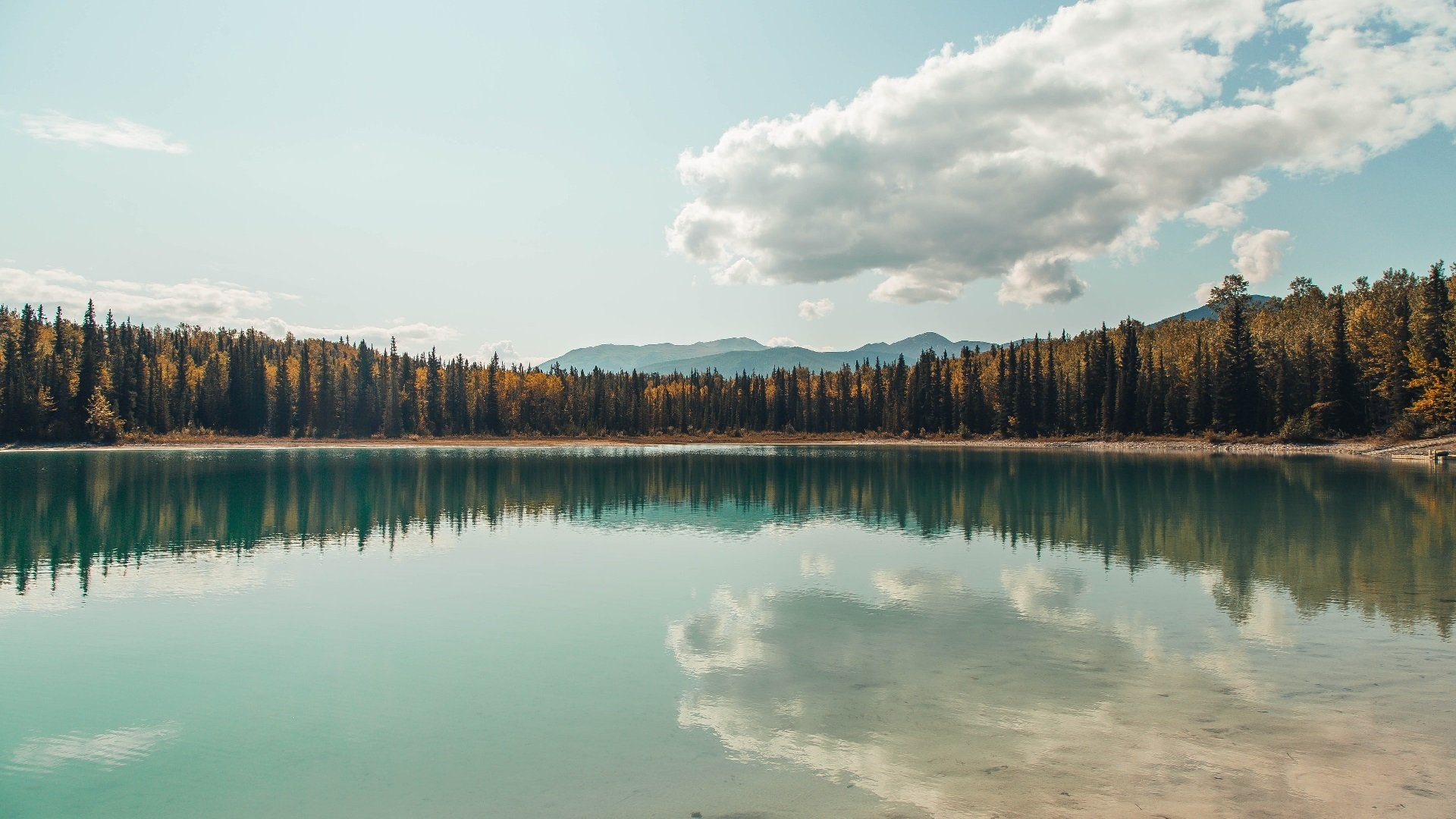 羽球名将跨界定乾坤，辛杜关键制胜，助德国队碾压日本队