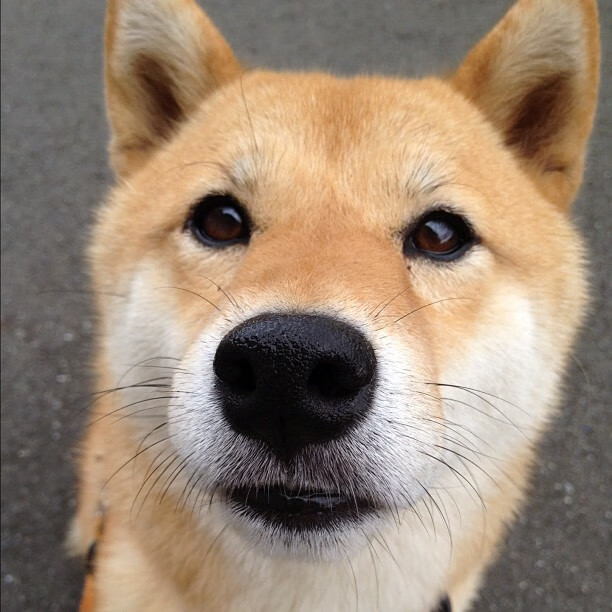 高原风暴撕裂格子铁壁,维尼修斯年度焦点战上演单骑救主