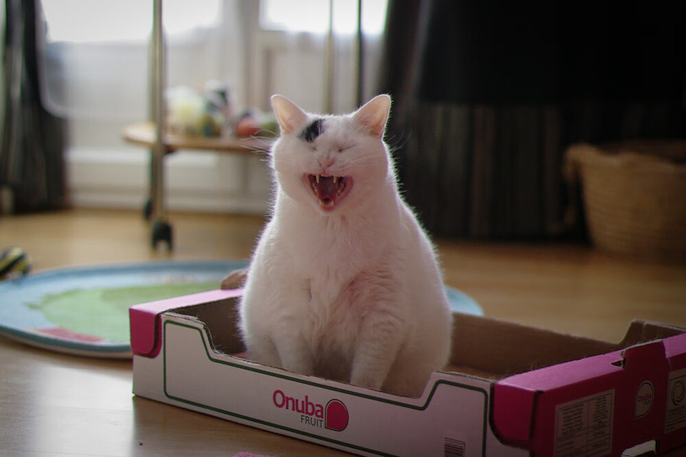 范弗利特单核托起撕裂之城!魔术血拼开拓者,他写就孤胆英雄传说