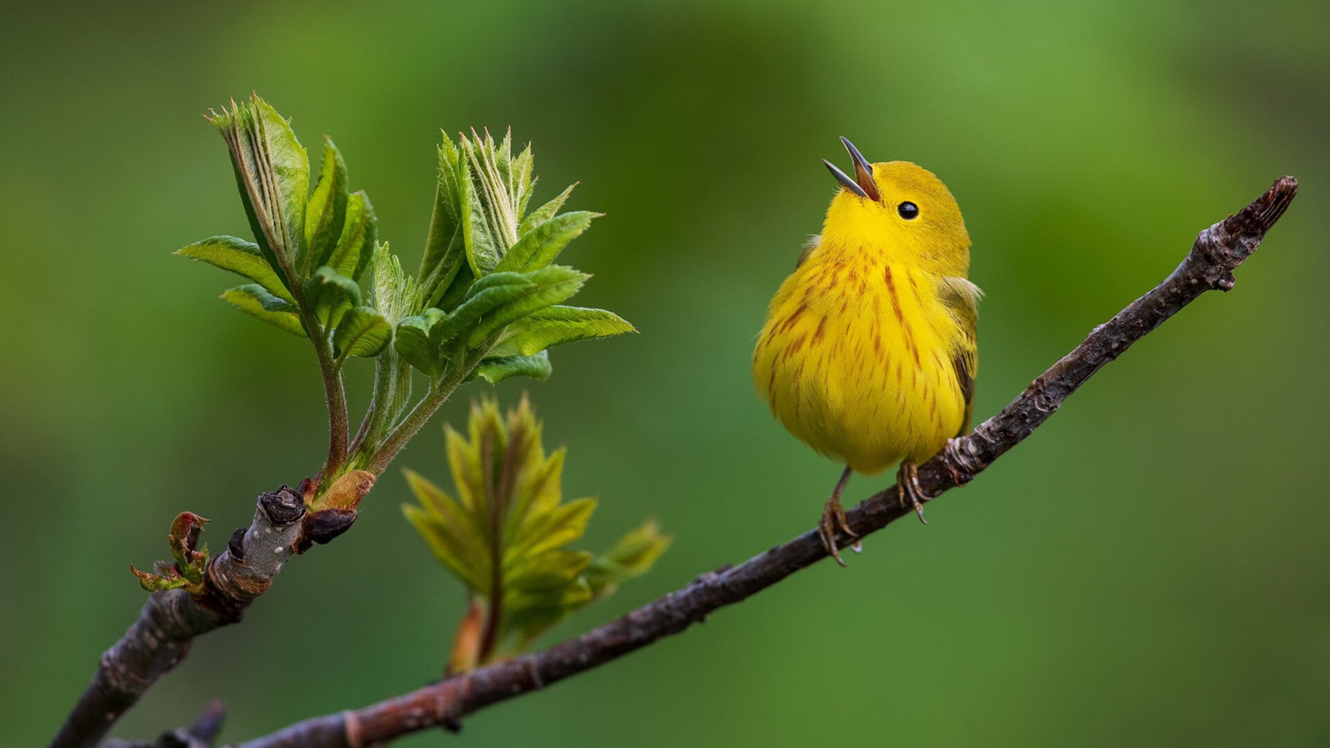 跨界之夜,当篮球巨星降临绿茵场