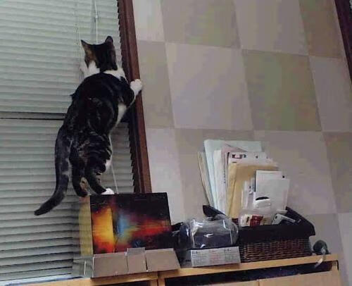 龙门与维修墙，拉亚在巴林之夜扛起全队