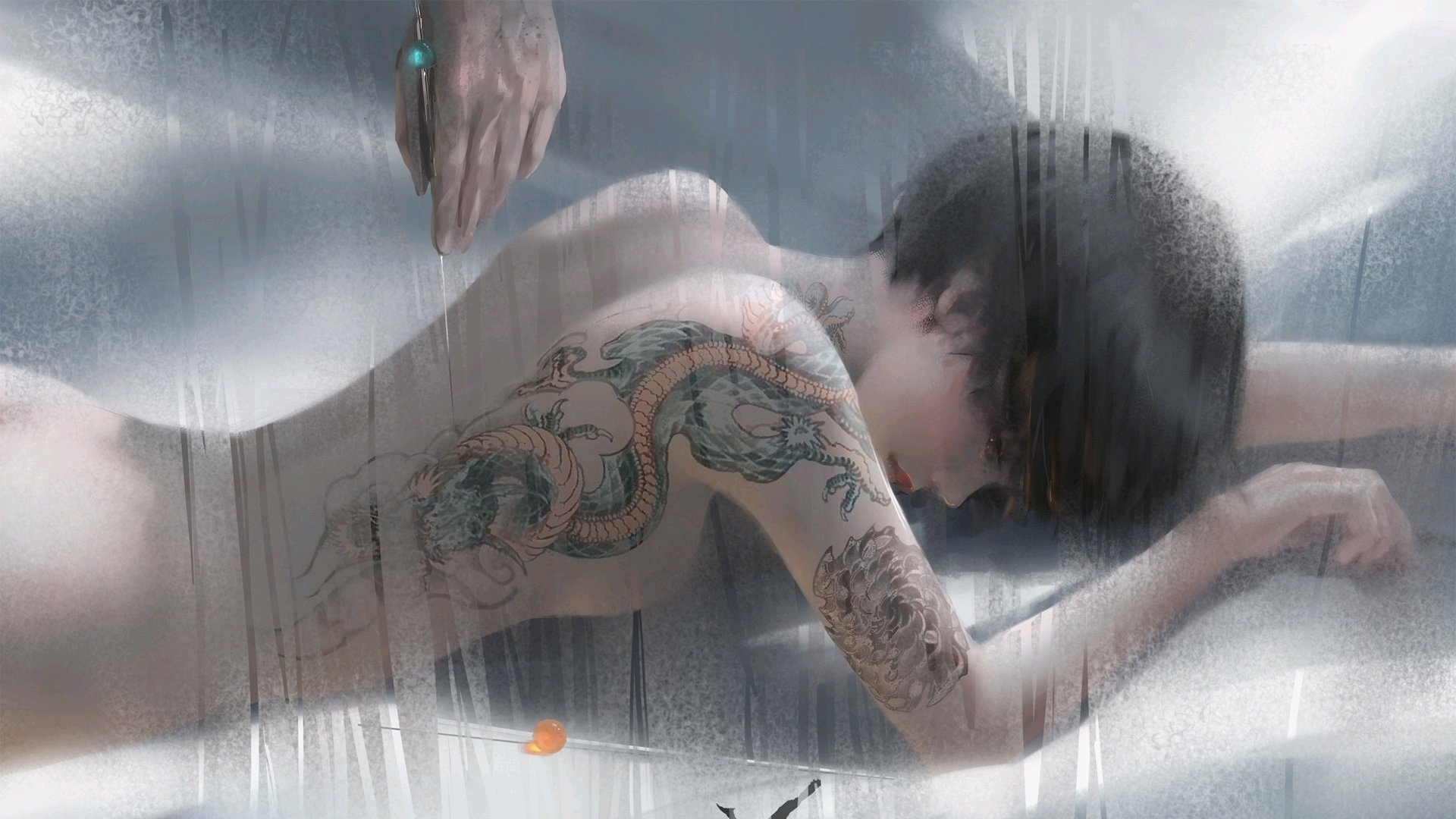 选项（供您选择）