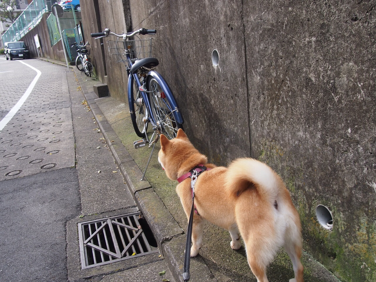 当步行者与热火陷入尺寸困局,约基奇已悄然定义新时代篮球