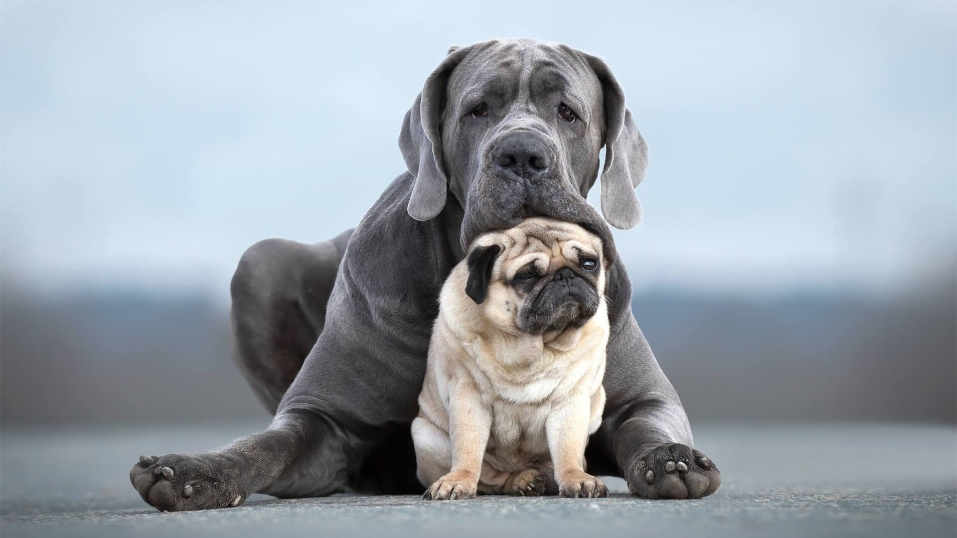 权力的游戏,爱德华兹运筹帷幄,德甲争冠之夜一手定乾坤