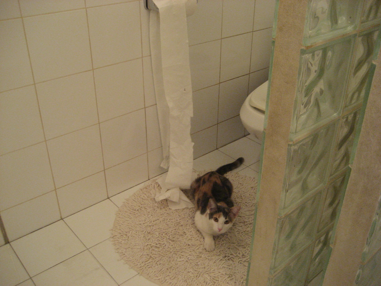 黑色旋风席卷维洛德罗姆,楚阿梅尼爆发,塞内加尔决胜局带走马赛