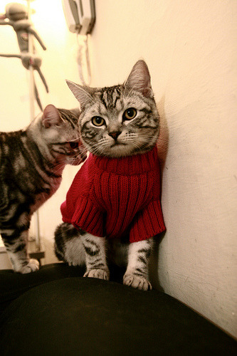 五月，与竞争同在的唯一一条路