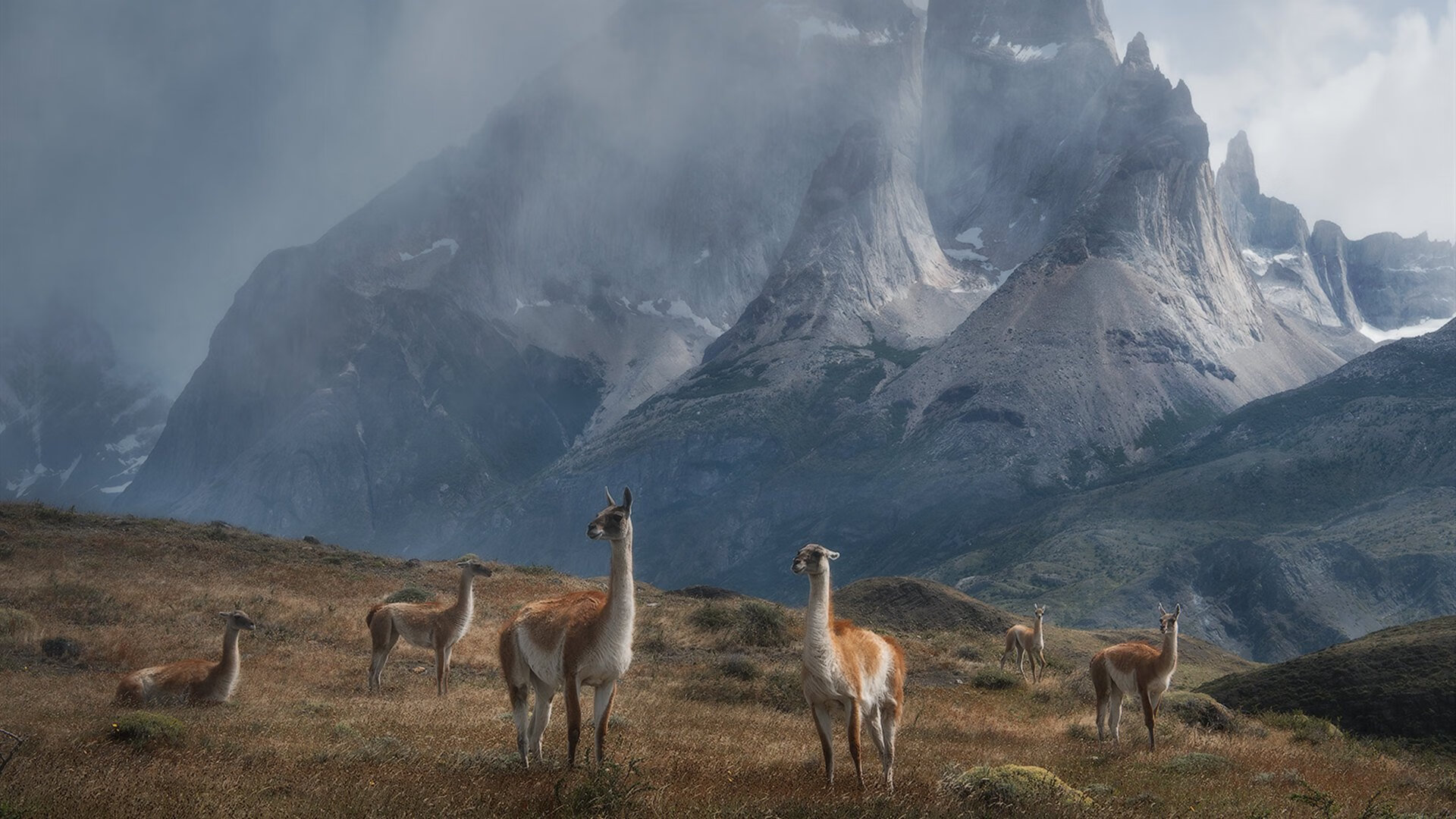 跨洋对决的终场奇迹，保罗一剑封喉，猛龙压哨逆转新疆