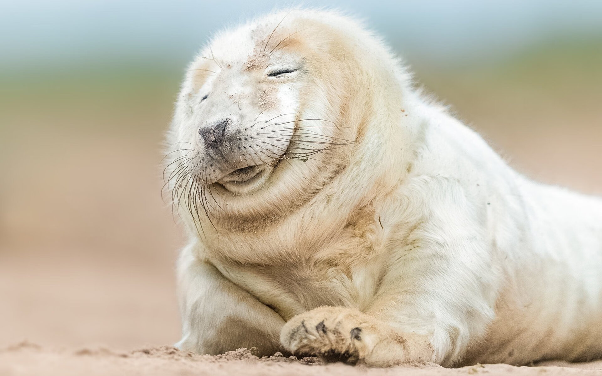 当足球场变成季后赛战场，苏格兰用篮球战术强势击溃加纳