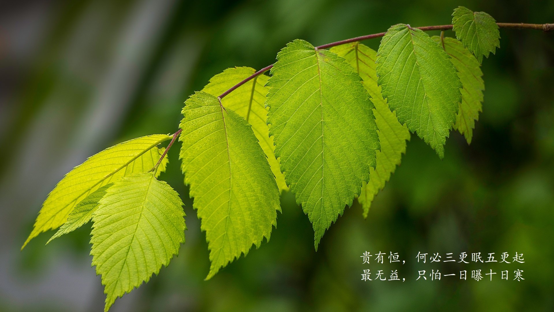 扩展思维,文章标题选项