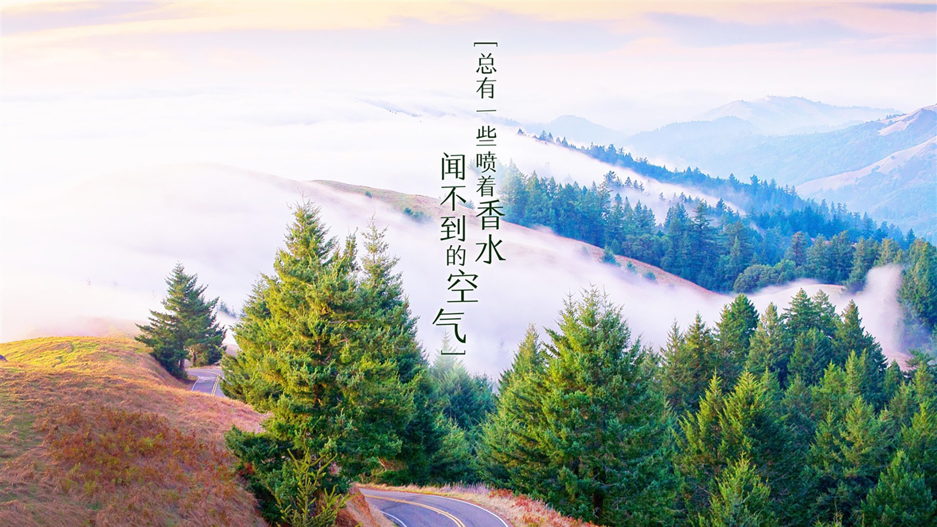 里斯本之夜,当罗德里戈用左脚改写2026世界杯E组的唯一剧本