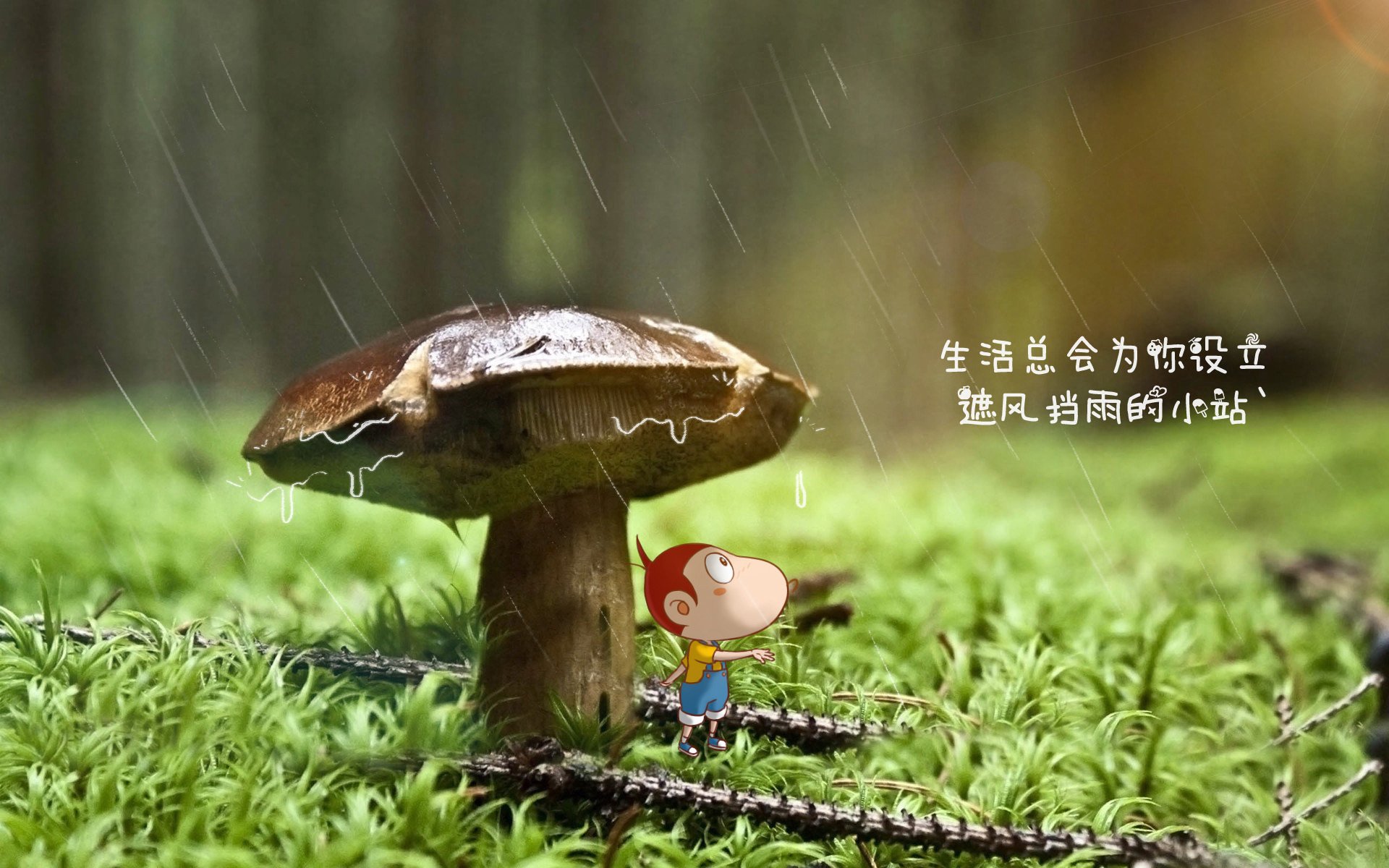 奥斯陆的雪夜,波斯铁骑的刀锋,2026世界杯复仇之战,挪威力克捷克,塔雷米的光芒刺破北欧极夜